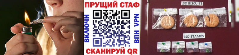 Виды наркотиков купить Химки Гашиш АМФ Меф мяу мяу Каннабис Псилоцибиновые грибы Alpha PVP COCAIN