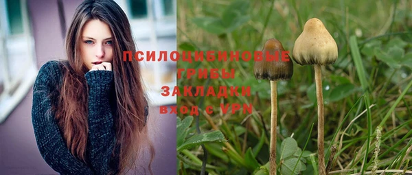 винт Мегион