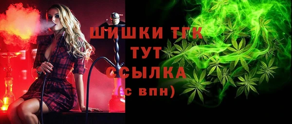 винт Мегион