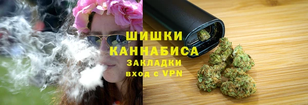 дурь Медвежьегорск