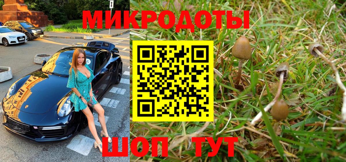 купить закладку  Вход с VPN  Химки  Галлюциногенные грибы прущие грибы  Псилоцибиновые грибы Cubensis 
